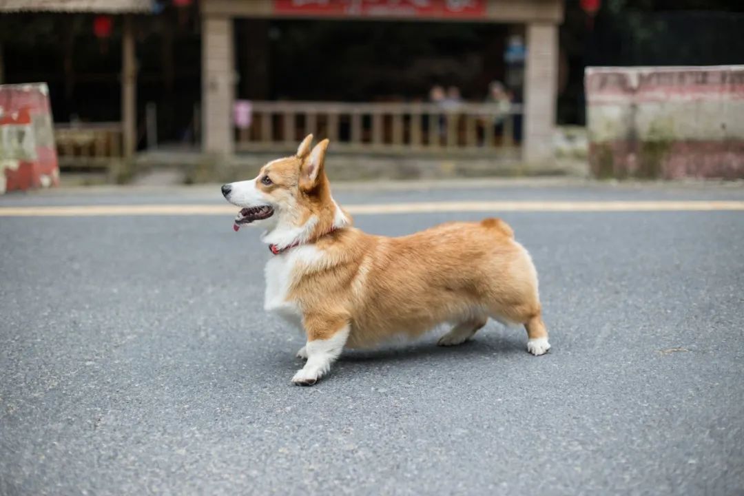 再见，，，，，，，我的老朋友
