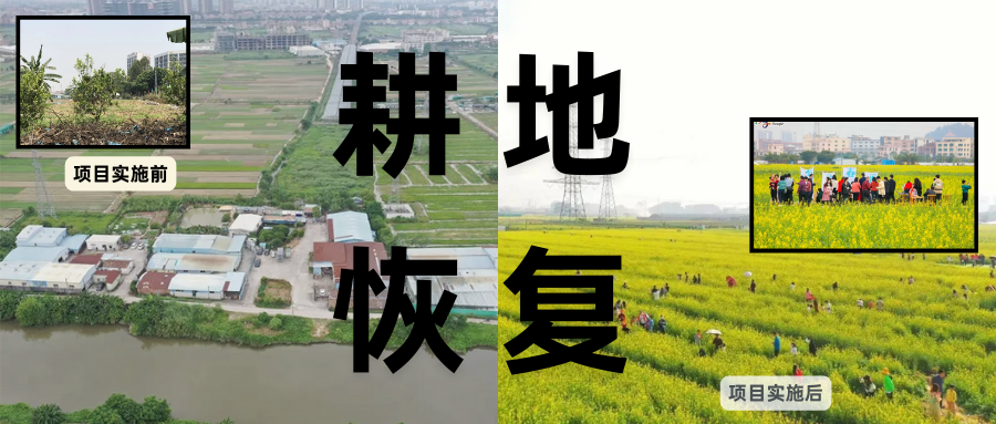 耕地；；；；；；；び刖梅⒄构踩凇甘泻窠终蛩谏缜读继锵钅扛鼗指从氤窍缛诤系拇葱率导
