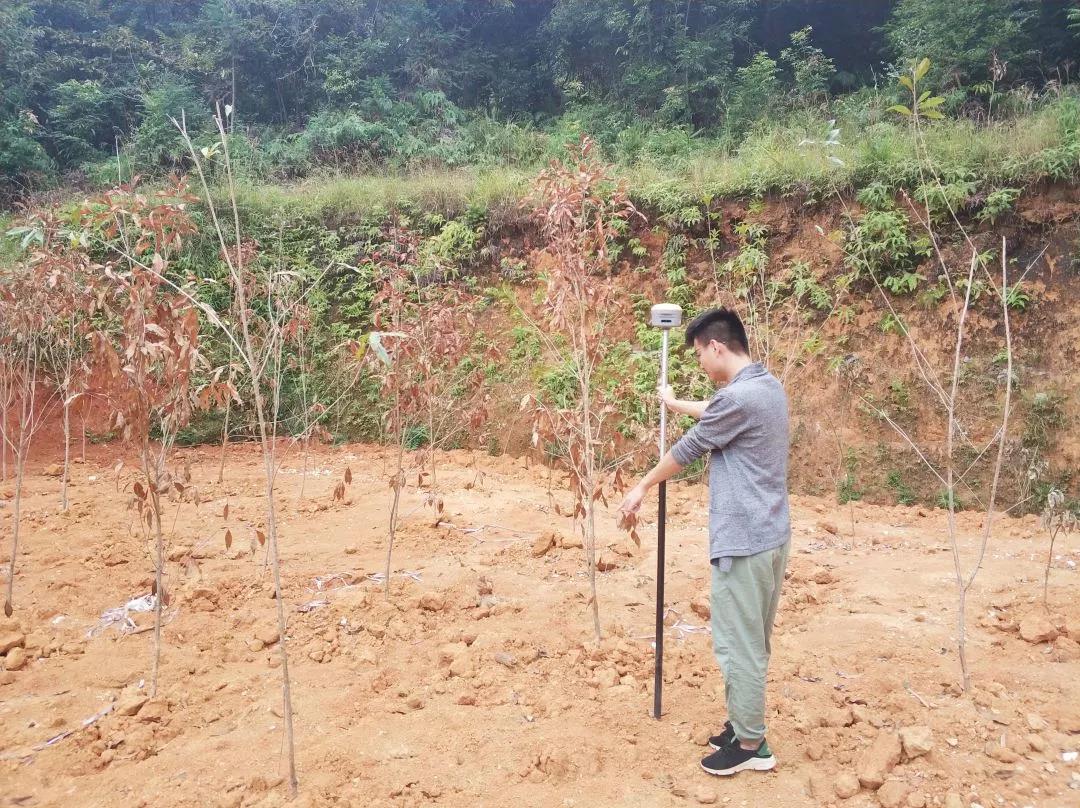 土地规划部项目纪实丨意昂娱乐人，，，，，，助力荒地变桑田！