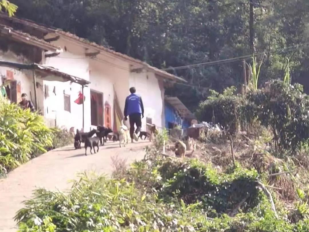 阳春房地一体项目纪实丨无悔青春多砥砺，，，，，，最是奋斗动人心