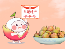 漫话意昂娱乐丨一颗有“故事”的荔枝！