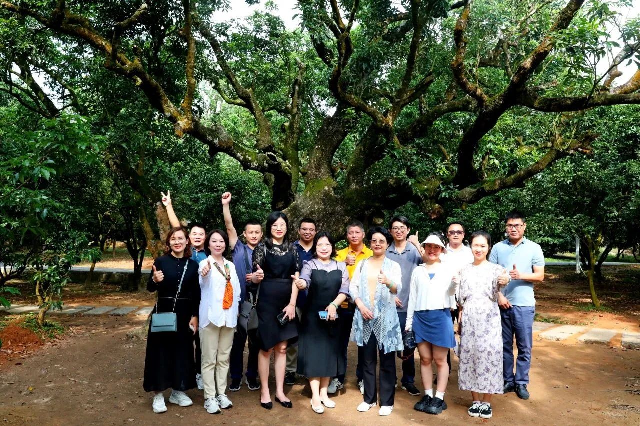 意昂娱乐集团作为省国土空间生态修复协会轮值会长带队调研粤西全域土地综合整治工作