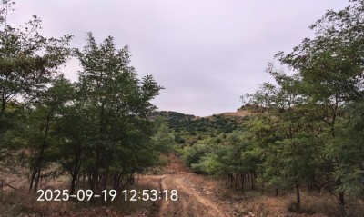 GA黄金甲(中国)最新官方网站